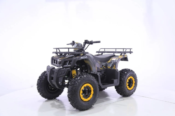 Квадроцикл MOTAX Grizlik T 200