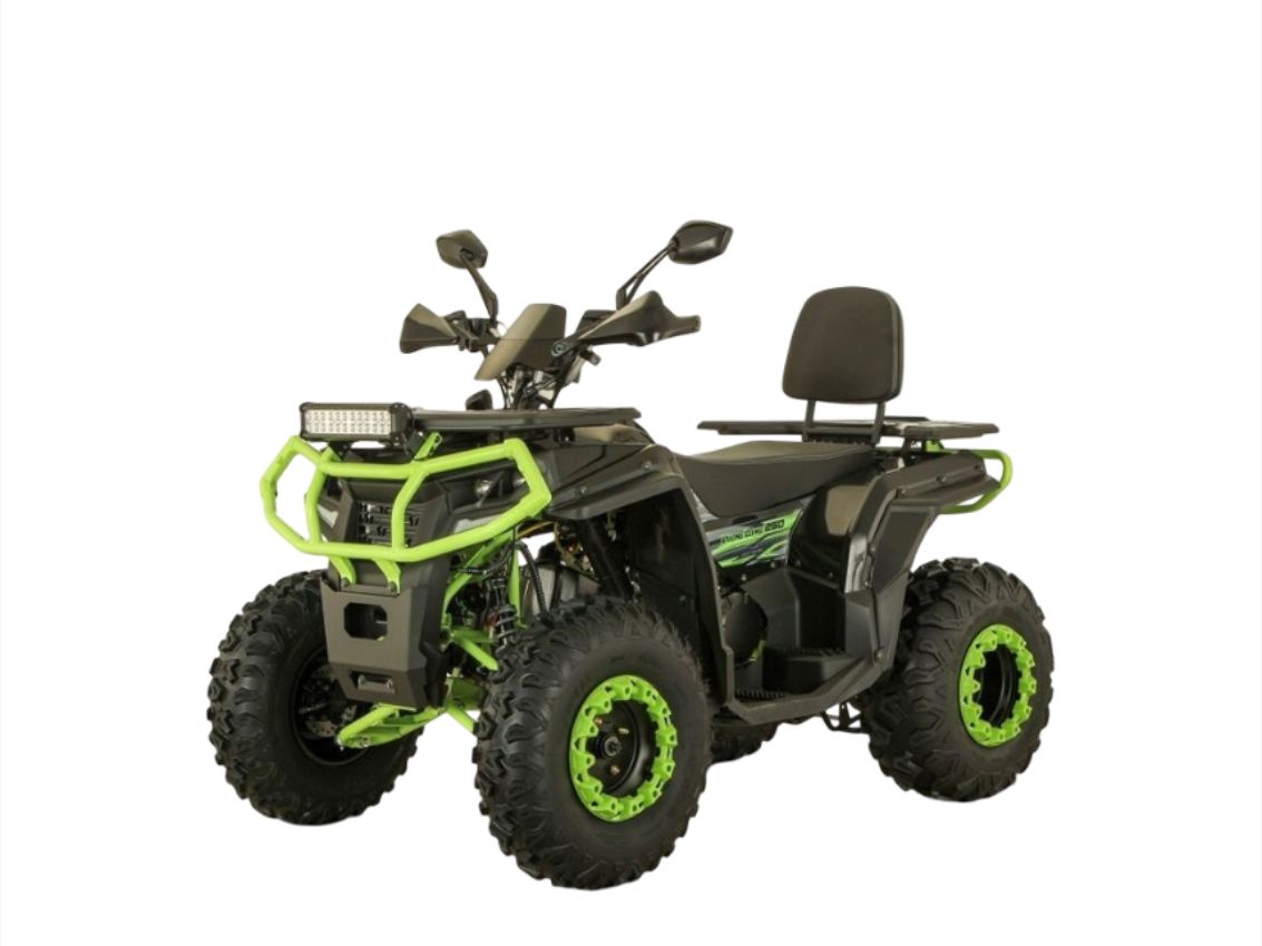 Квадроцикл VIKING Long 250