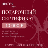 Подарочный сертификат