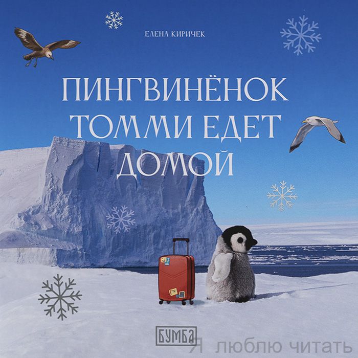 Пингвинёнок Томми едет домой
