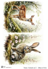 Animals set 2