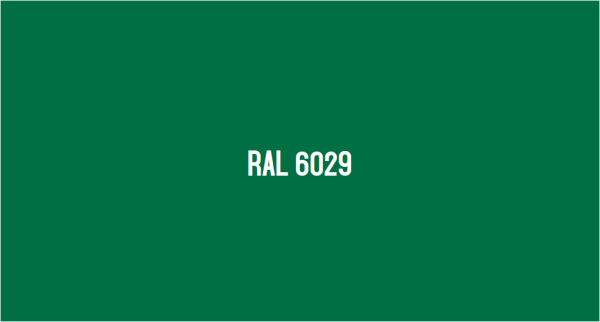 Краска RAL цвет 6029