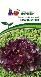 Салат дуболистный ВУЛСИНИ (15шт), Партнер