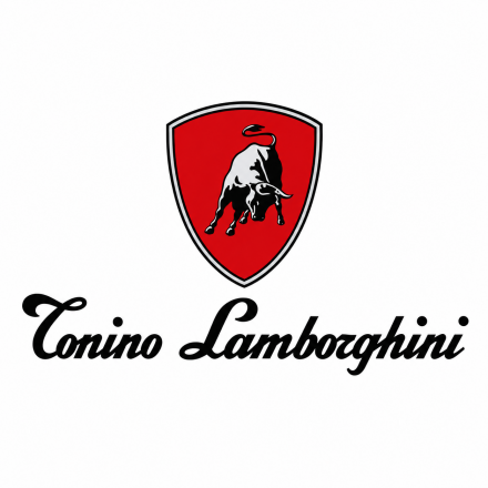 Очки TONINO LAMBORGHINI