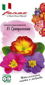 Примула Грандиссима F1  (обыкновенная грунтовая) смесь 5 шт. серия Фарао (Гавриш)