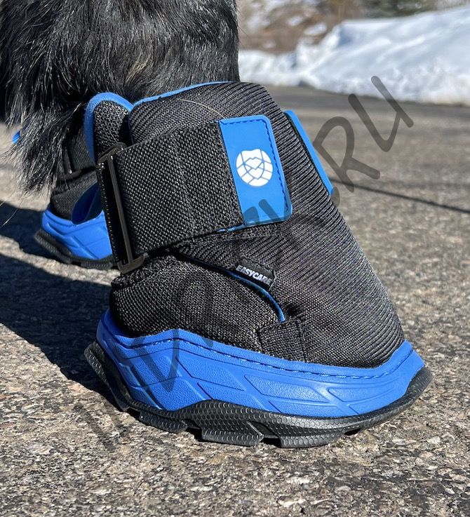 Ботинок для копыт Easyboot Rx2