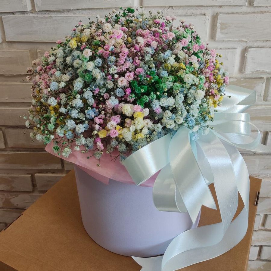 Радужная гипсофила в коробке XL