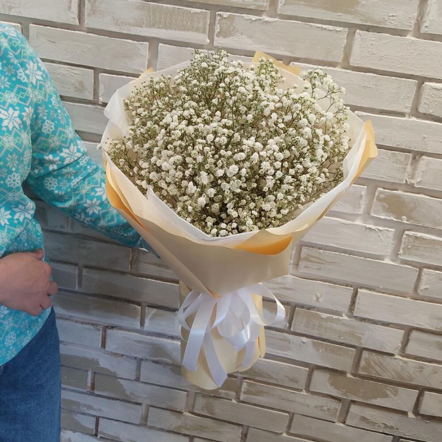 Гипсофила белая 5шт