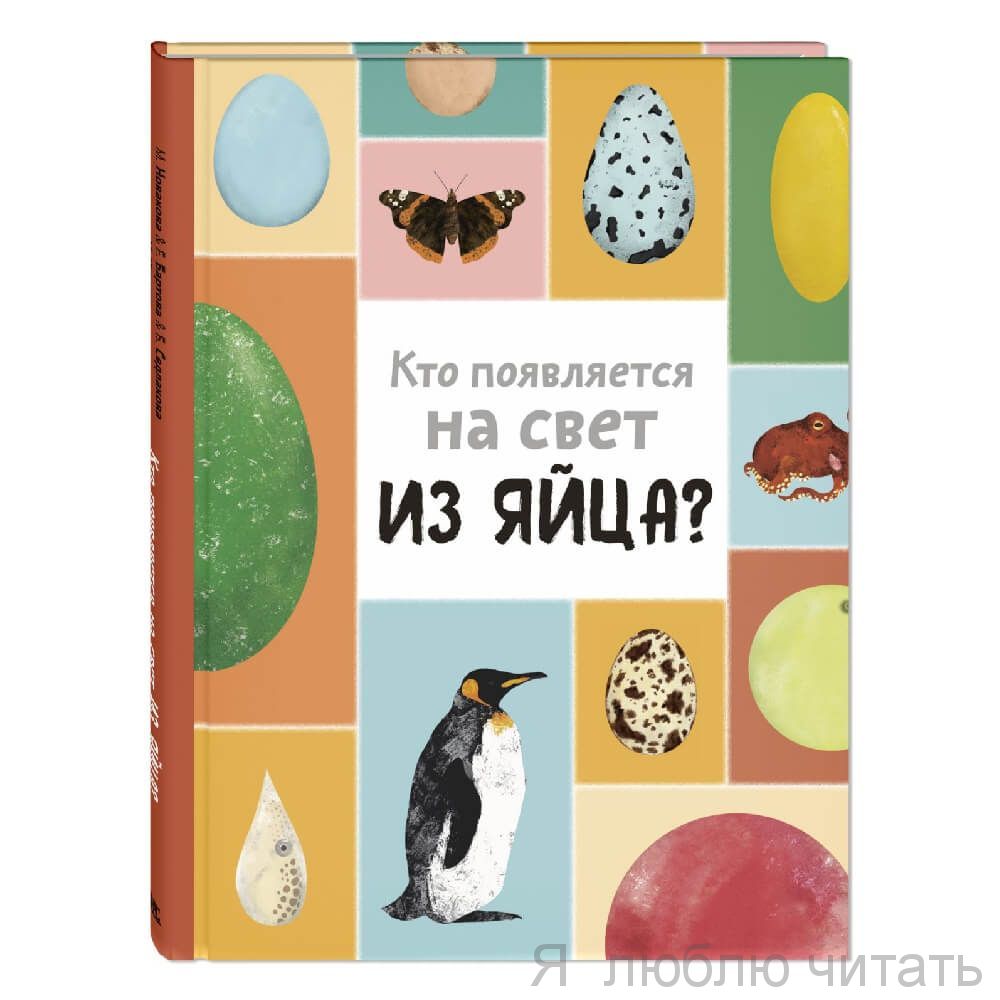Кто появляется на свет из яйца?