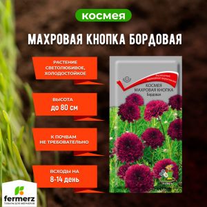 Семена Космея Махровая кнопка Бордовая  0,1гр