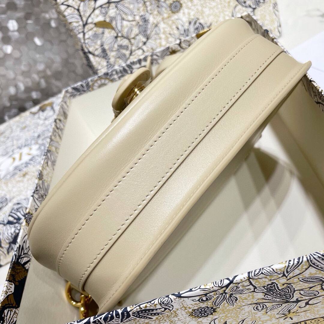 Dior Bobby 22*17*6 cm