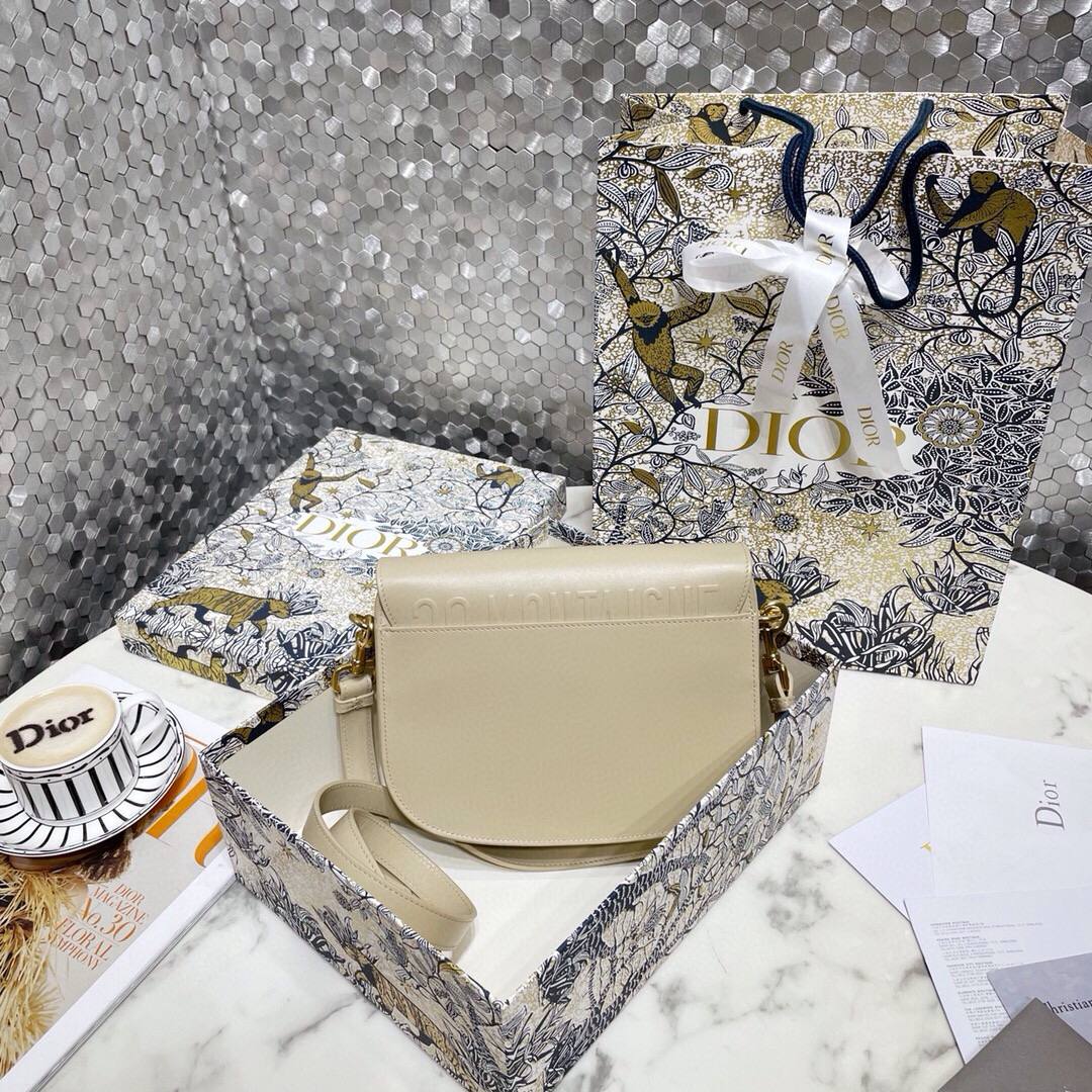 Dior Bobby 22*17*6 cm
