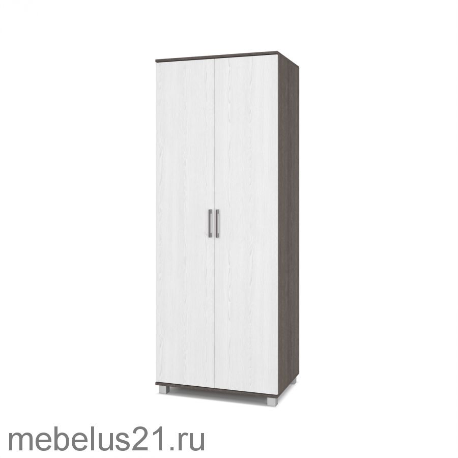 Шкаф 2-х створчатый Ева Е-20