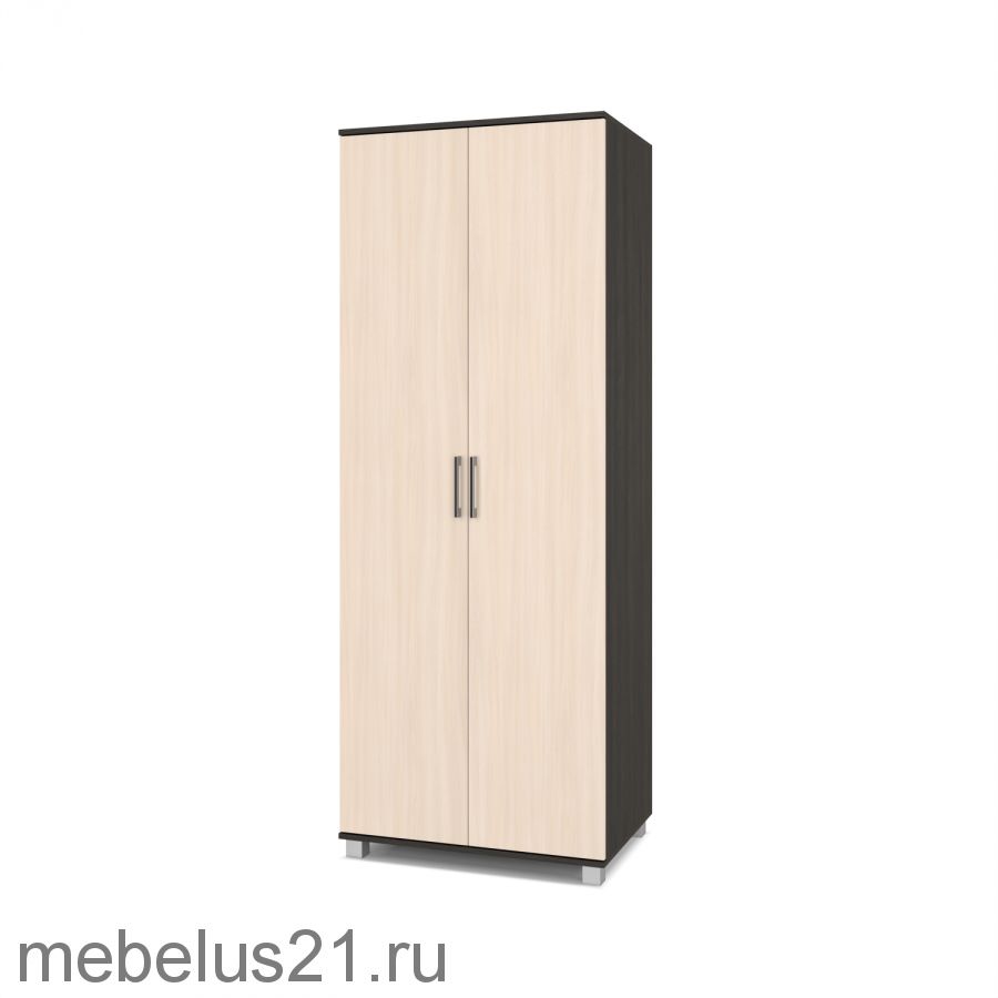 Шкаф 2-х створчатый Ева Е-20