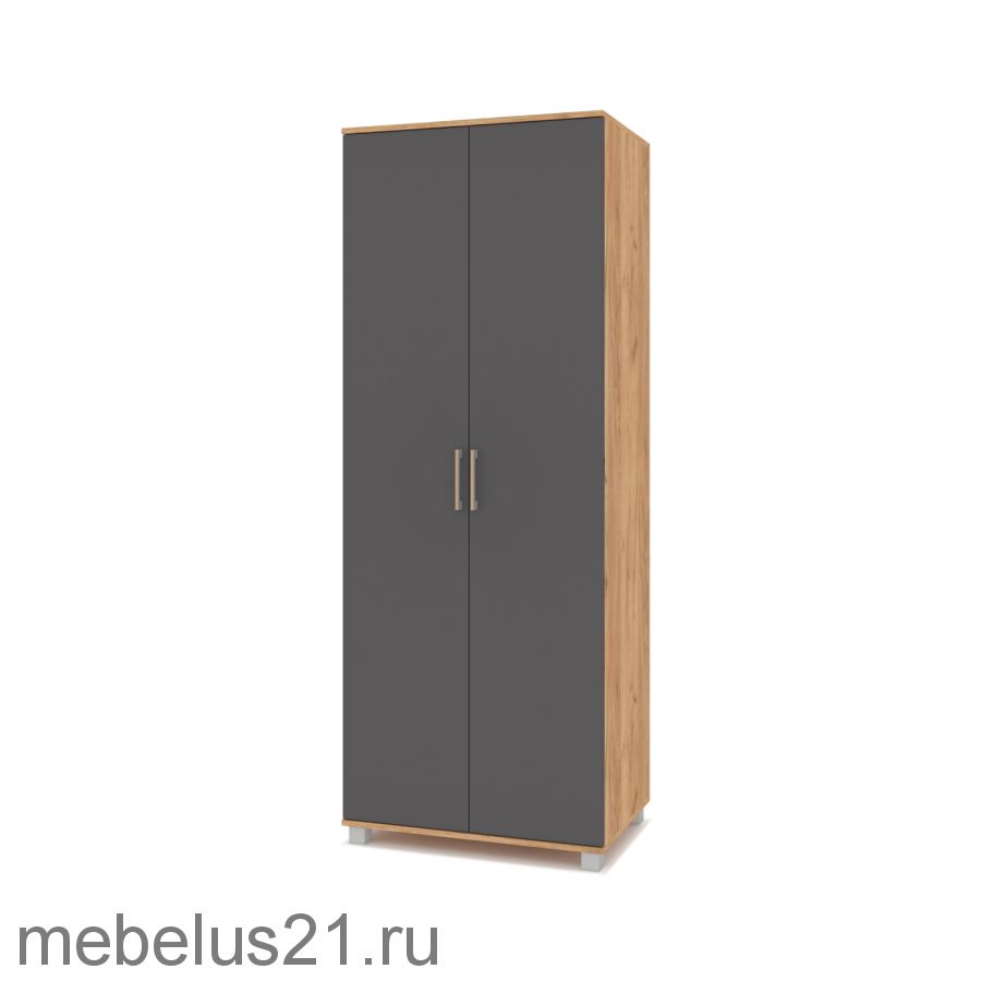 Шкаф 2-х створчатый Ева Е-20