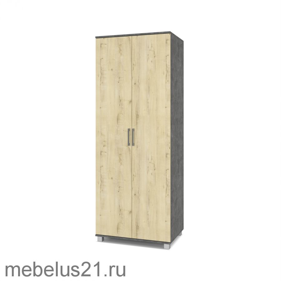 Шкаф 2-х створчатый Ева Е-21