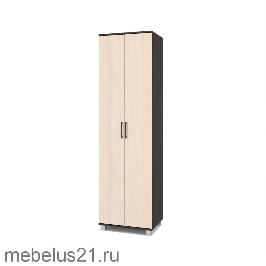 Шкаф 2-х створчатый Карина К-21