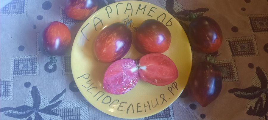 Томат "Гаргамель"