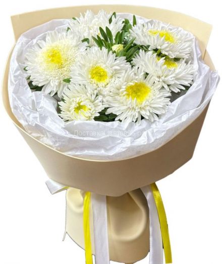 Белые астры