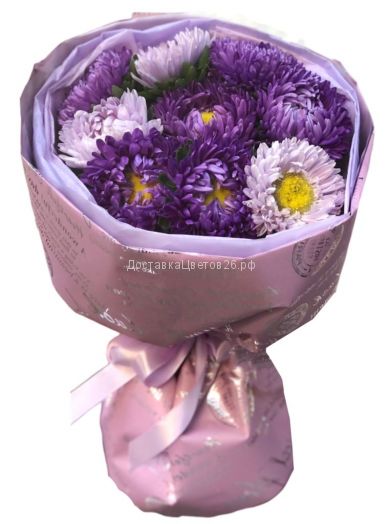 Фиолетовые и сиреневые астры