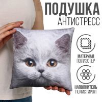 Подушка антистресс, кот "Британец"