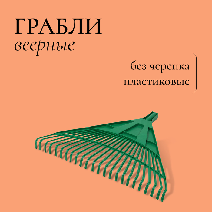 Грабли веерные, пластинчатые, 24 зубца, пластик, тулейка 25 мм, без черенка