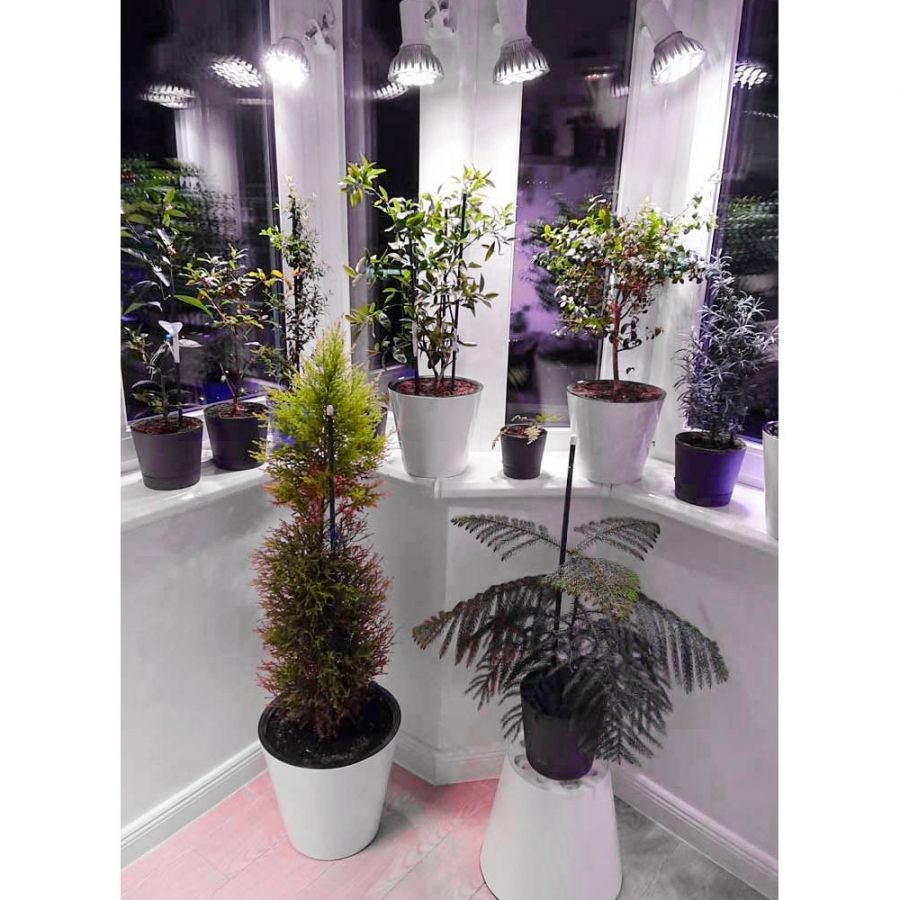 Фитолампа светодиодная МИНИФЕРМЕР Е27 SMD 25W (спектр на выбор)