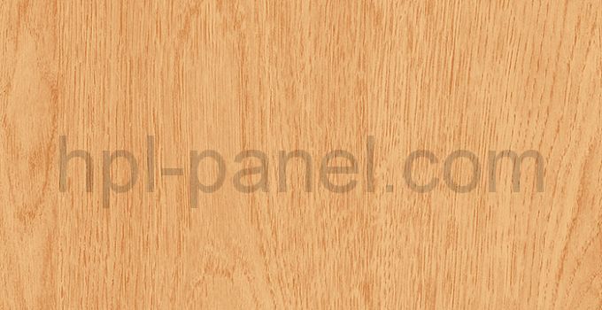 7127 Дуб Саппоро