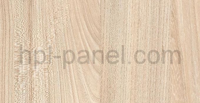 7170 Вяз Палермо