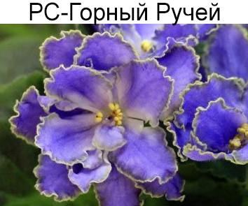 РС-Горный Ручей (Репкина)