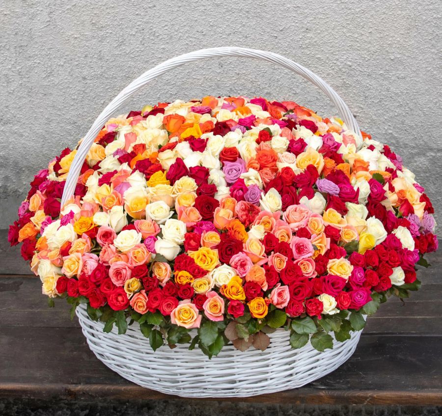 501 роза в корзине микс