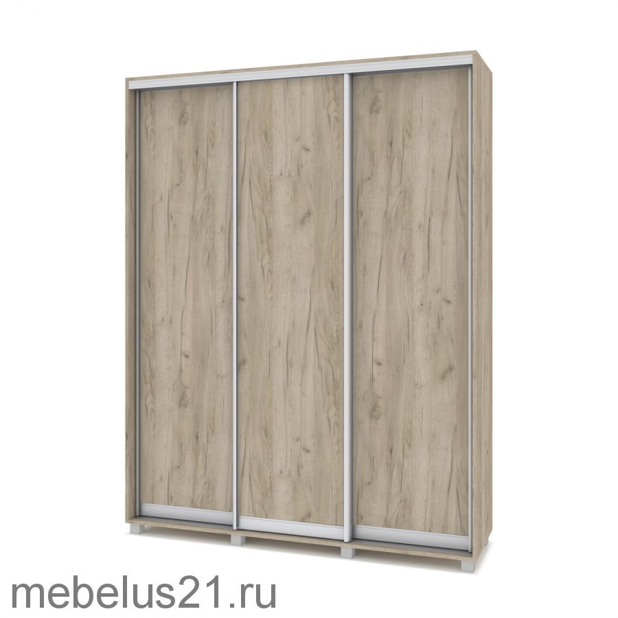 Шкаф купе Роланд 1,6 м