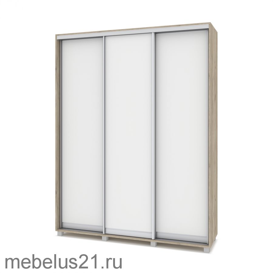 Шкаф купе Роланд 1,6 м