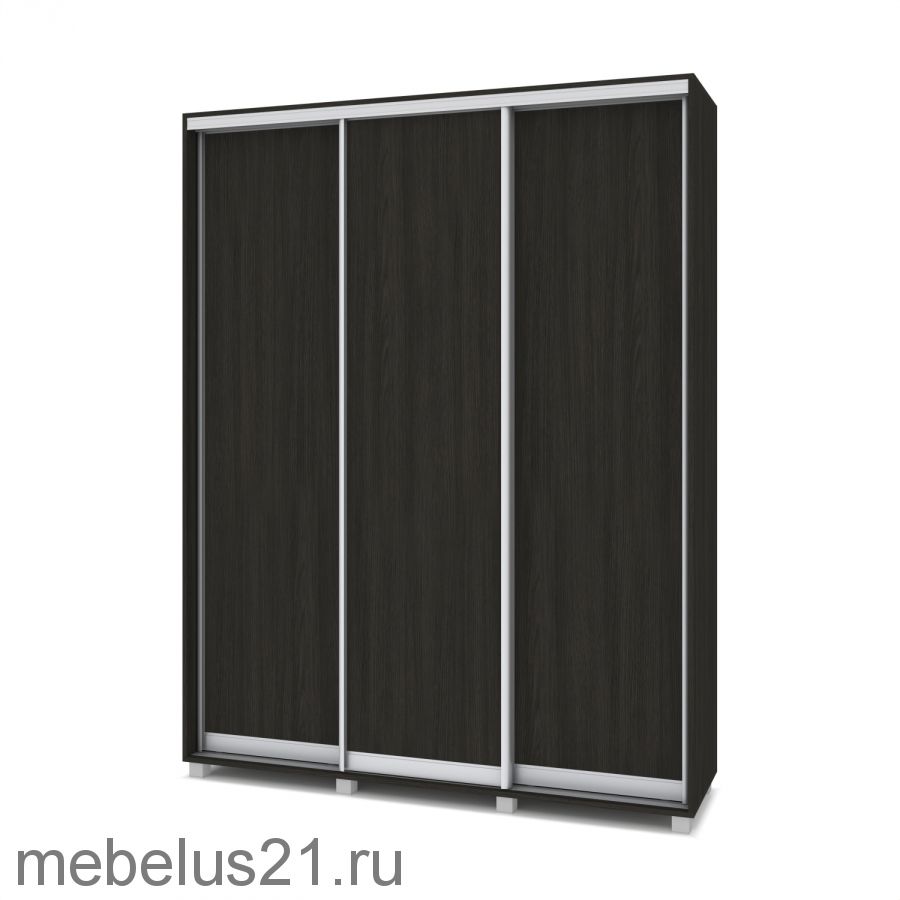 Шкаф купе Роланд 1,6 м