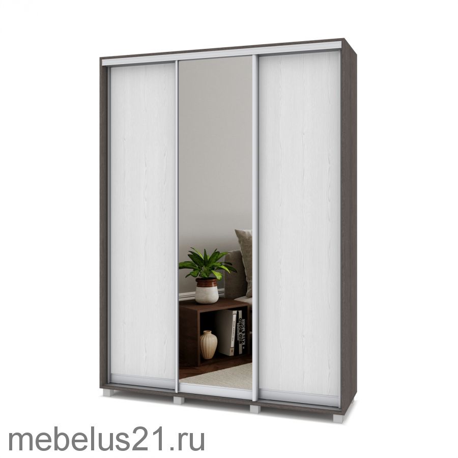 Шкаф купе с зеркалом Роланд 1,6 м