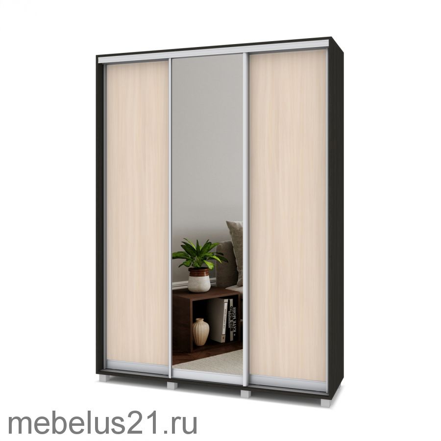 Шкаф купе с зеркалом Роланд 1,6 м