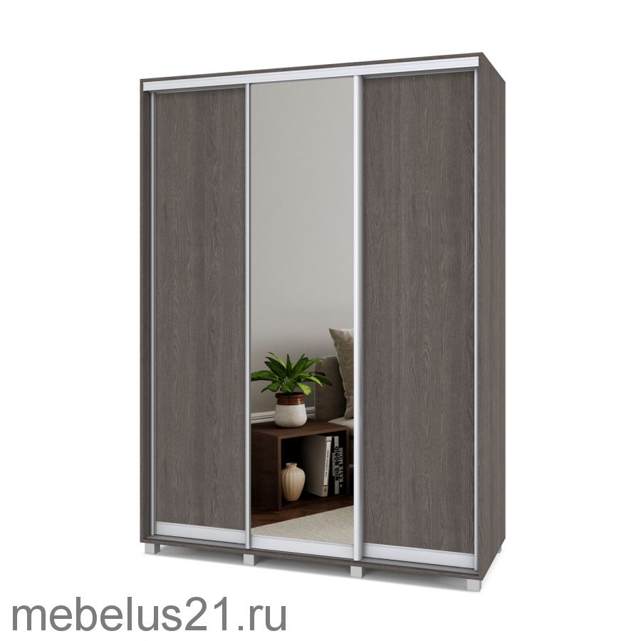 Шкаф купе с зеркалом Роланд 1,7 м