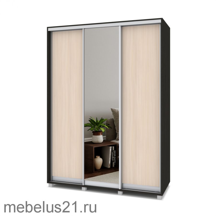 Шкаф купе с зеркалом Роланд 1,7 м