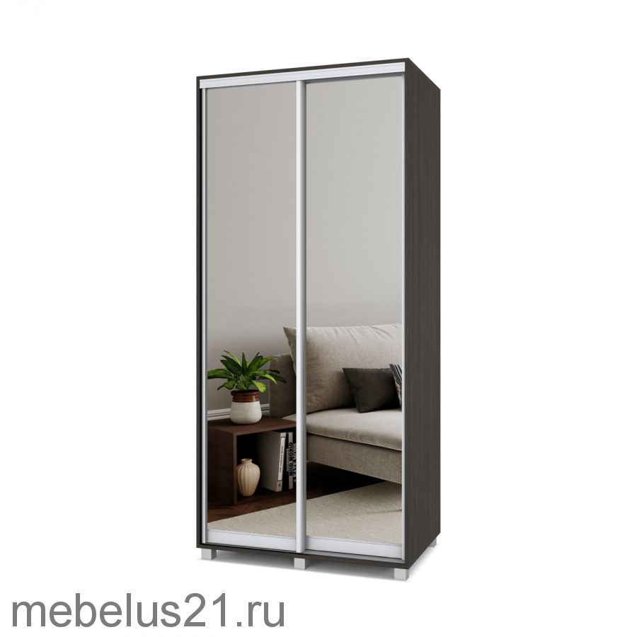 Шкаф купе с зеркалами Роланд 1,2 м