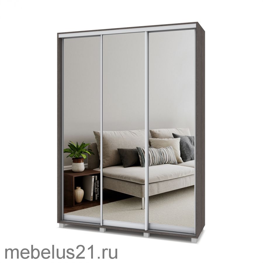 Шкаф купе с зеркалами Роланд 1,6 м