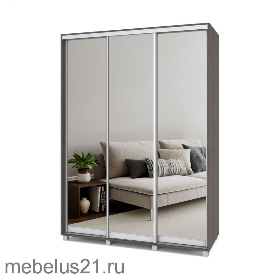 Шкаф купе с зеркалами Роланд 1,7 м