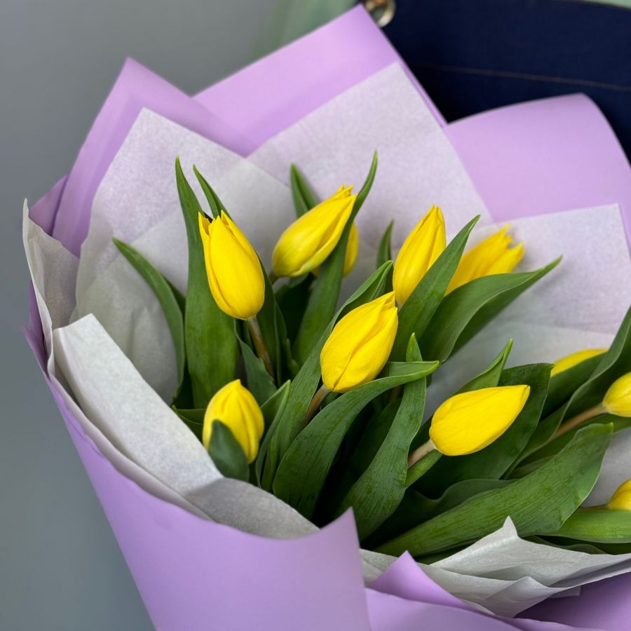 Желтые тюльпаны