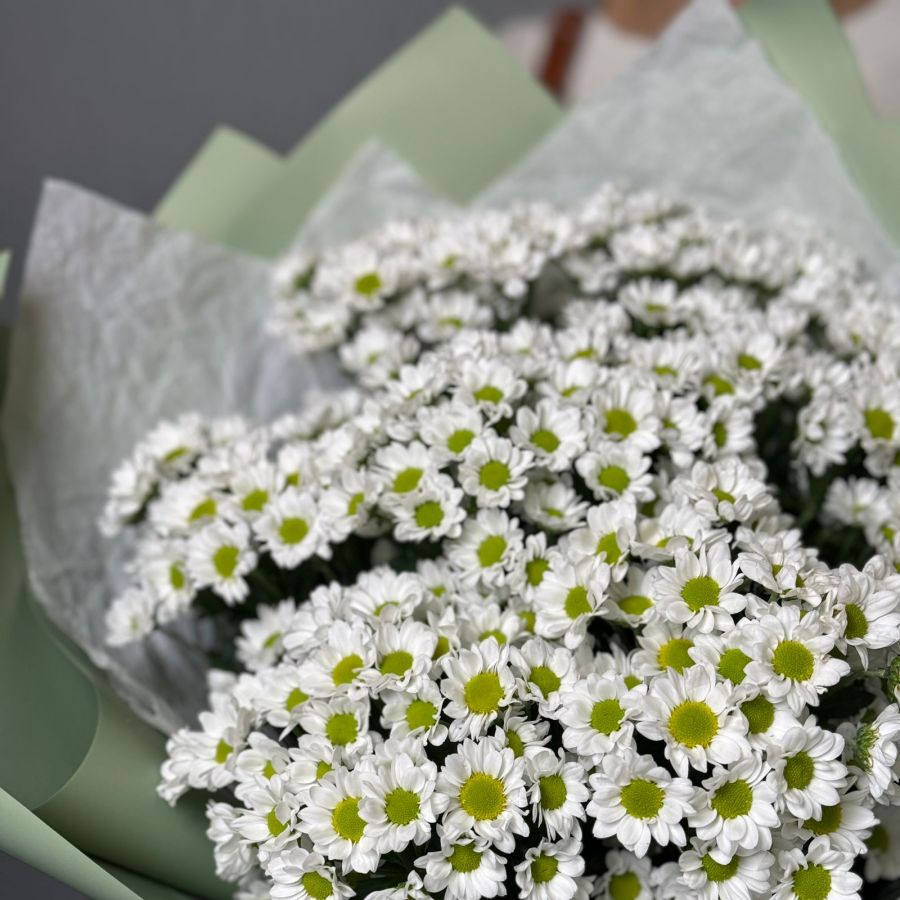 Монобукет из ромашек