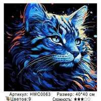 Картина по номерам на  подрамнике HWC0063 с цветным холстом