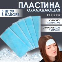 Пластина охлаждающая, набор - 5 шт, 12 ? 5 см, цвет синий