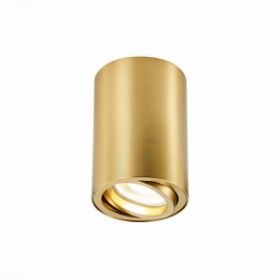 Светильник Потолочный ST-Luce ST108.207.01 Золотистый GU10 1*50W IP20 D70xH100 220V Без Ламп / СТ Люче.