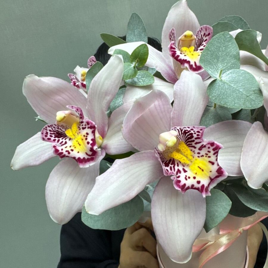 Орхидея в коробке