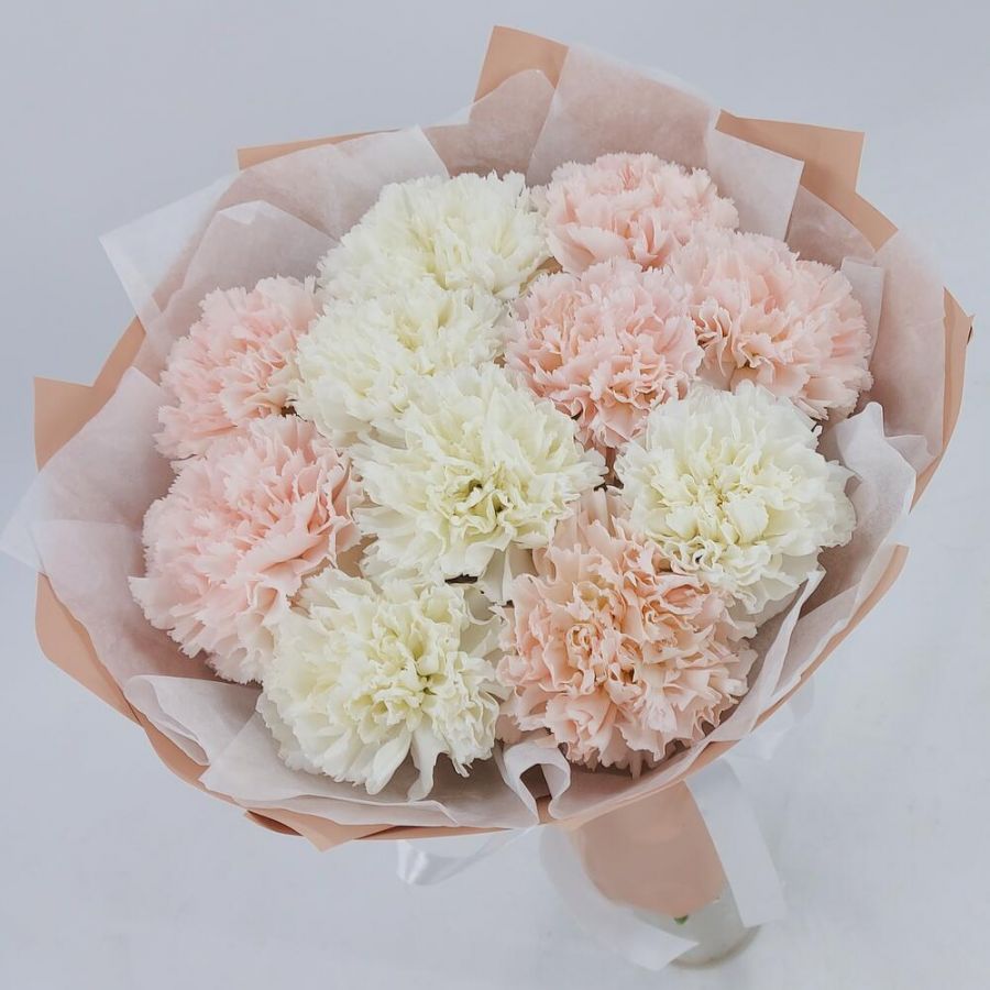 Нежные гвоздики (диантусы)