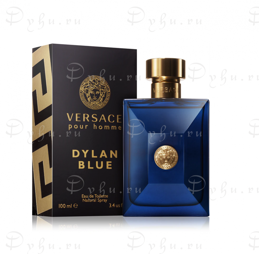 Versace Pour Homme Dylan Blue