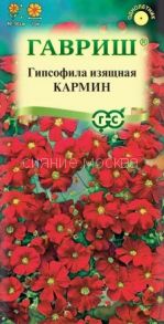 Гипсофила изящная Кармин (Гавриш)